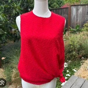 Euc, Babaton Hopkins blouse, Swiss dot texture, tie asymmetrical hem. Sz Small